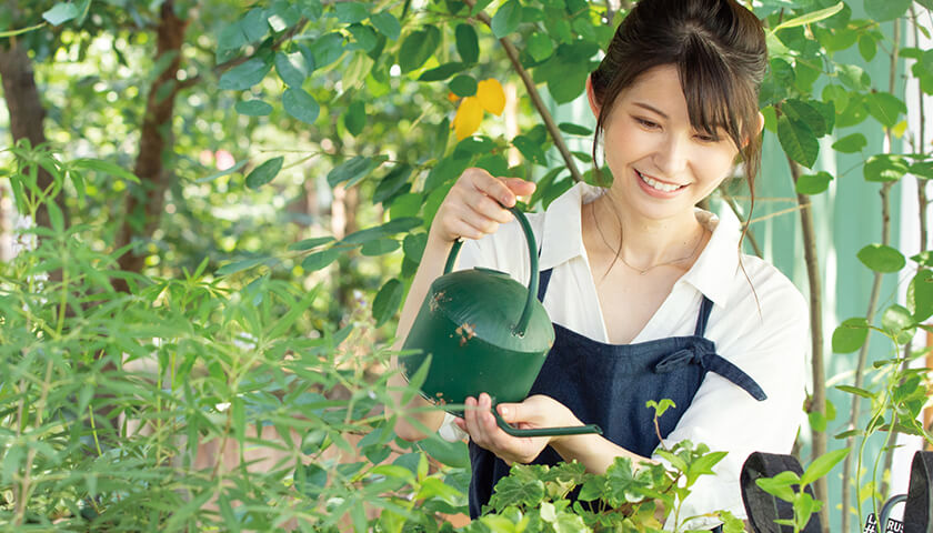 �Ф��դ����餷����ơ����꡼�󥢥ɥХ�����